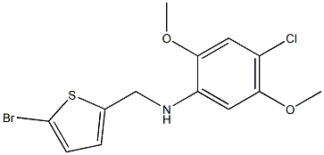 N-[(5-bromothiophen-2-yl)methyl]-4-chloro-2,5-dimethoxyaniline 结构式