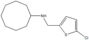 N-[(5-chlorothiophen-2-yl)methyl]cyclooctanamine 结构式