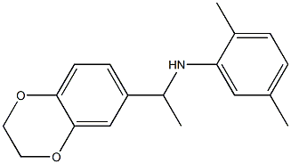 N-[1-(2,3-dihydro-1,4-benzodioxin-6-yl)ethyl]-2,5-dimethylaniline 结构式