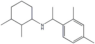 N-[1-(2,4-dimethylphenyl)ethyl]-2,3-dimethylcyclohexan-1-amine 结构式