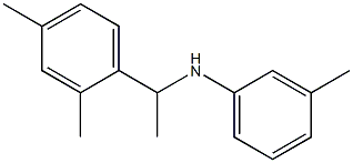 N-[1-(2,4-dimethylphenyl)ethyl]-3-methylaniline 结构式