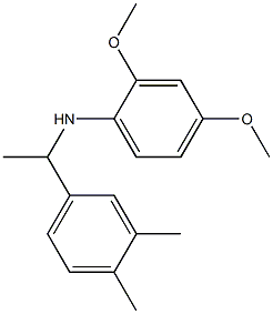 N-[1-(3,4-dimethylphenyl)ethyl]-2,4-dimethoxyaniline 结构式