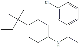 N-[1-(3-chlorophenyl)ethyl]-4-(2-methylbutan-2-yl)cyclohexan-1-amine 结构式