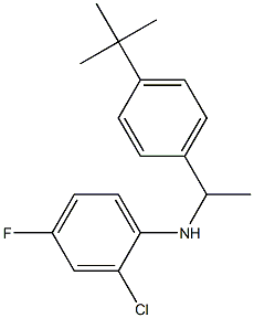 N-[1-(4-tert-butylphenyl)ethyl]-2-chloro-4-fluoroaniline 结构式