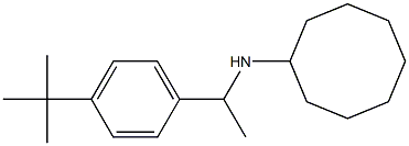 N-[1-(4-tert-butylphenyl)ethyl]cyclooctanamine 结构式