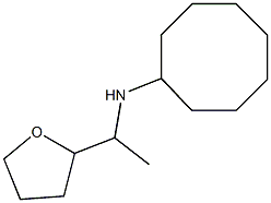 N-[1-(oxolan-2-yl)ethyl]cyclooctanamine 结构式