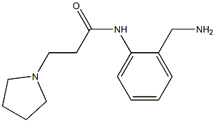 N-[2-(aminomethyl)phenyl]-3-pyrrolidin-1-ylpropanamide 结构式