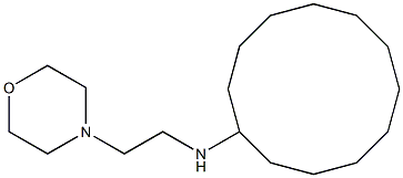 N-[2-(morpholin-4-yl)ethyl]cyclododecanamine 结构式