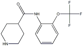 N-[2-(trifluoromethoxy)phenyl]piperidine-4-carboxamide 结构式