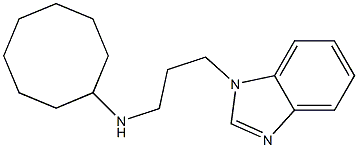 N-[3-(1H-1,3-benzodiazol-1-yl)propyl]cyclooctanamine 结构式