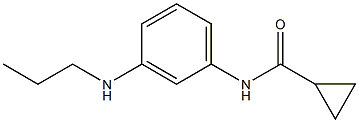 N-[3-(propylamino)phenyl]cyclopropanecarboxamide 结构式