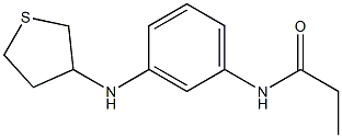 N-[3-(thiolan-3-ylamino)phenyl]propanamide 结构式