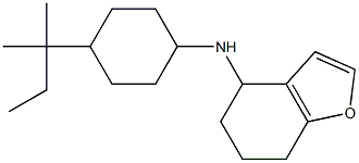 N-[4-(2-methylbutan-2-yl)cyclohexyl]-4,5,6,7-tetrahydro-1-benzofuran-4-amine 结构式