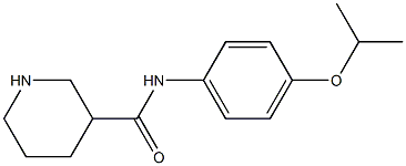 N-[4-(propan-2-yloxy)phenyl]piperidine-3-carboxamide 结构式