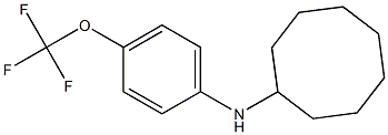 N-[4-(trifluoromethoxy)phenyl]cyclooctanamine 结构式