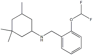 N-{[2-(difluoromethoxy)phenyl]methyl}-3,3,5-trimethylcyclohexan-1-amine 结构式