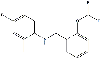 N-{[2-(difluoromethoxy)phenyl]methyl}-4-fluoro-2-methylaniline 结构式