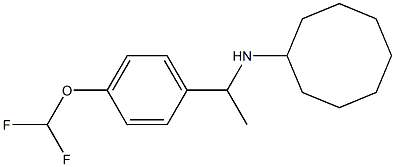 N-{1-[4-(difluoromethoxy)phenyl]ethyl}cyclooctanamine 结构式