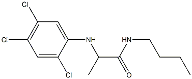 N-butyl-2-[(2,4,5-trichlorophenyl)amino]propanamide 结构式