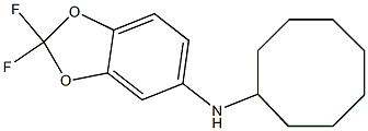 N-cyclooctyl-2,2-difluoro-2H-1,3-benzodioxol-5-amine 结构式