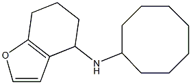 N-cyclooctyl-4,5,6,7-tetrahydro-1-benzofuran-4-amine 结构式