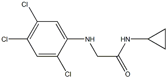 N-cyclopropyl-2-[(2,4,5-trichlorophenyl)amino]acetamide 结构式