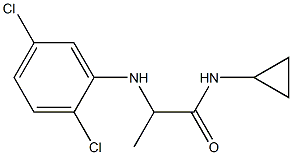 N-cyclopropyl-2-[(2,5-dichlorophenyl)amino]propanamide 结构式