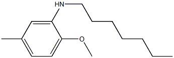 N-heptyl-2-methoxy-5-methylaniline 结构式