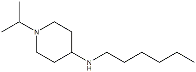 N-hexyl-1-(propan-2-yl)piperidin-4-amine 结构式