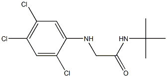 N-tert-butyl-2-[(2,4,5-trichlorophenyl)amino]acetamide 结构式