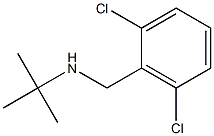 tert-butyl[(2,6-dichlorophenyl)methyl]amine 结构式