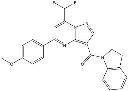 7-(difluoromethyl)-3-(2,3-dihydro-1H-indol-1-ylcarbonyl)-5-(4-methoxyphenyl)pyrazolo[1,5-a]pyrimidine 结构式