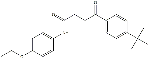 4-(4-tert-butylphenyl)-N-(4-ethoxyphenyl)-4-oxobutanamide 结构式