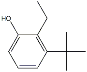 叔丁基羟基乙基苯 结构式