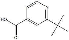 2-叔丁基吡啶-4-羧酸 结构式