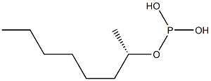 (+)-Phosphorous acid dihydrogen [(S)-1-methylheptyl] ester 结构式