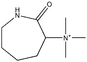 Hexahydro-N,N,N-trimethyl-2-oxo-1H-azepin-3-aminium 结构式