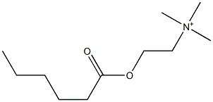 2-(Hexanoyloxy)-N,N,N-trimethylethanaminium 结构式