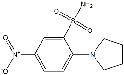 2-(1-Pyrrolidinyl)-5-nitrobenzenesulfonamide 结构式