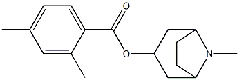 2,4-Dimethylbenzoic acid 8-methyl-8-azabicyclo[3.2.1]octan-3-yl ester 结构式