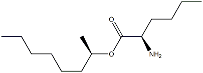 (R)-2-Aminohexanoic acid (R)-1-methylheptyl ester 结构式