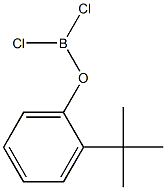 (2-tert-Butylphenoxy)dichloroborane 结构式