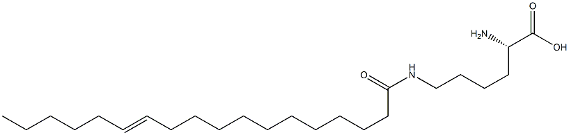 N6-(12-Octadecenoyl)lysine 结构式