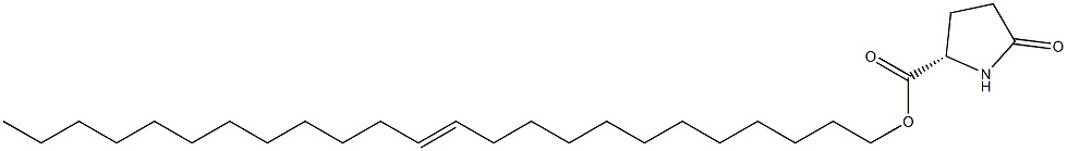 (S)-5-Oxopyrrolidine-2-carboxylic acid 12-tetracosenyl ester 结构式