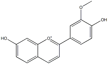 3'-Methoxy-4',7-dihydroxyflavylium 结构式