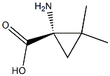 2,3-Methano-L-valine 结构式