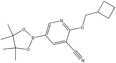 2-(cyclobutylmethoxy)-5-(4,4,5,5-tetramethyl-1,3,2-dioxaborolan-2-yl)pyridine-3-carbonitrile 结构式