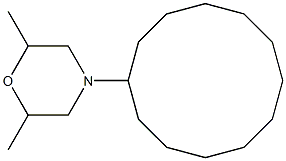 N-环十二烷基-2,6-二甲基吗啉 结构式