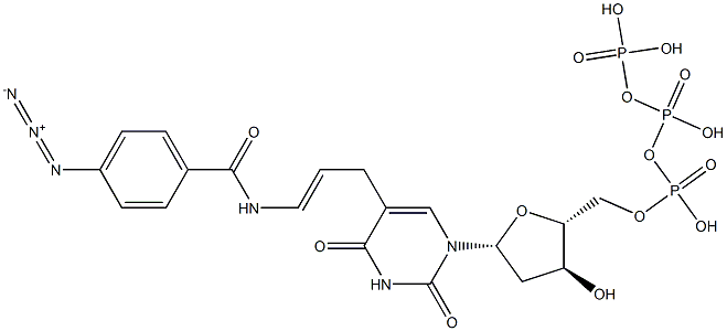 5-(N'-(4-azidobenzoyl)-3-aminoallyl)deoxyuridine 5'-triphosphate 结构式