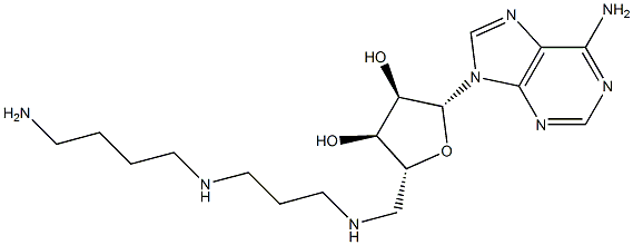 adenosylspermidine 结构式